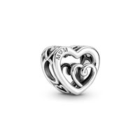 Charm Pandora Donna Pandora Moments in Argento 790800C00 - 790800C00
